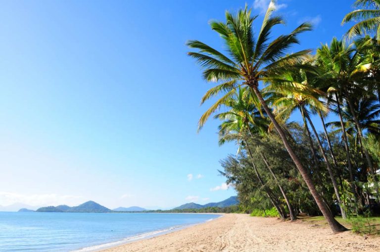 Palm Trees At Tropical Beach Palm Cove