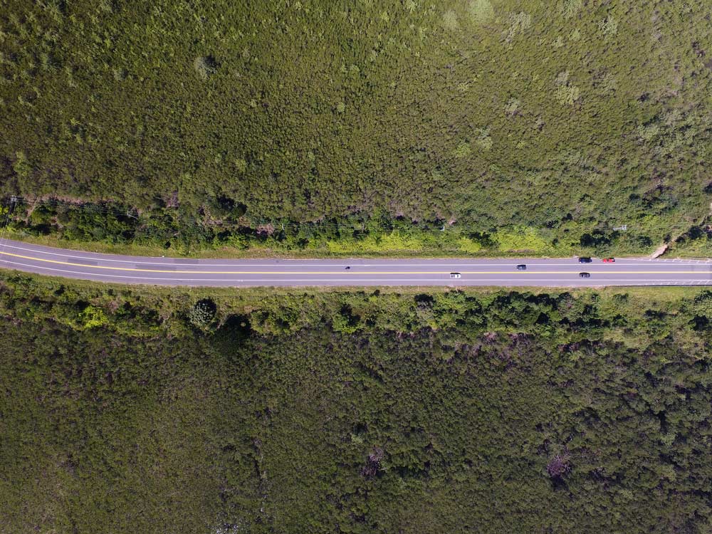 A rainforest road near Cairns in North Queensland